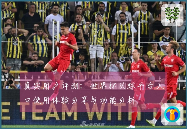 真实用户评测:世界杯买球平台入口使用体验分享与功能分析