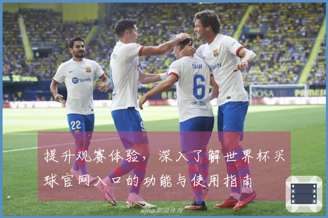 提升观赛体验，深入了解世界杯买球官网入口的功能与使用指南