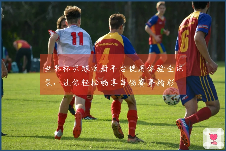 世界杯买球注册平台使用体验全记录，让你轻松畅享每场赛事精彩