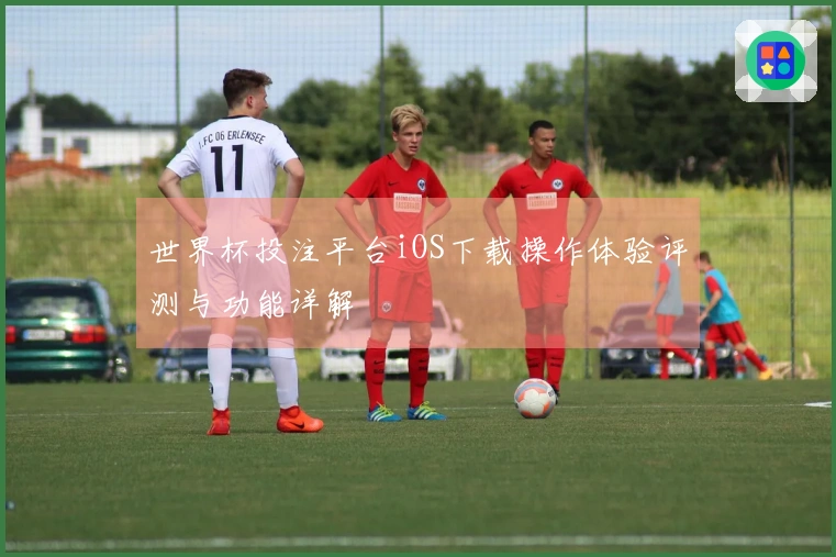 世界杯投注平台iOS下载操作体验评测与功能详解