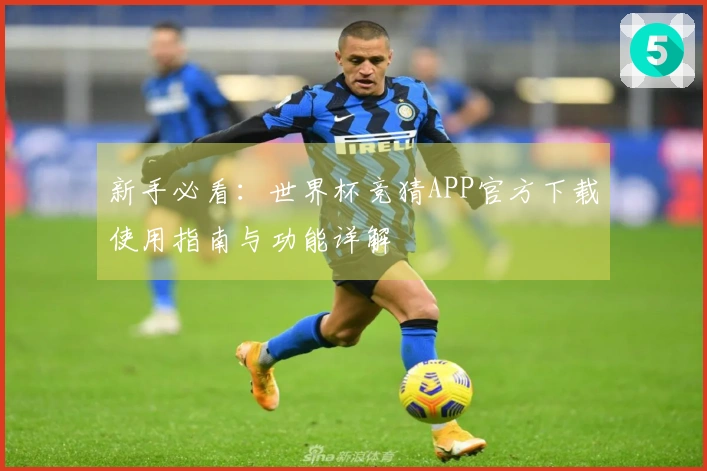 新手必看:世界杯竞猜APP官方下载使用指南与功能详解