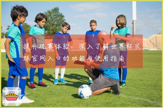 提升观赛体验，深入了解世界杯买球官网入口的功能与使用指南