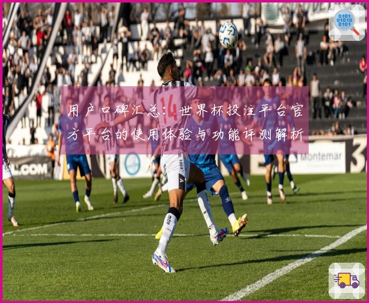 用户口碑汇总：世界杯投注平台官方平台的使用体验与功能评测解析