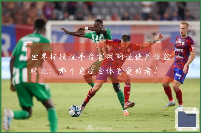 世界杯投注平台官网网址使用体验对比：哪个更适合体育爱好者？