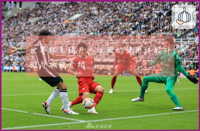世界杯竞猜开户注册的使用体验评测与功能介绍