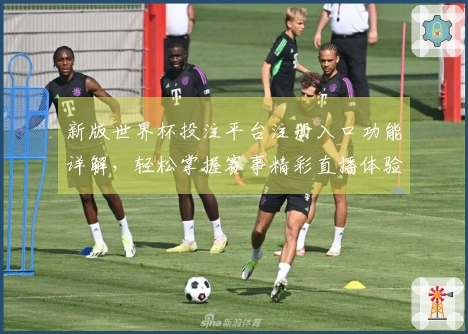 新版世界杯投注平台注册入口功能详解,轻松掌握赛事精彩直播体验