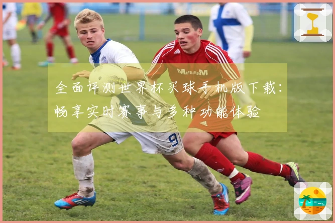 全面评测世界杯买球手机版下载：畅享实时赛事与多种功能体验